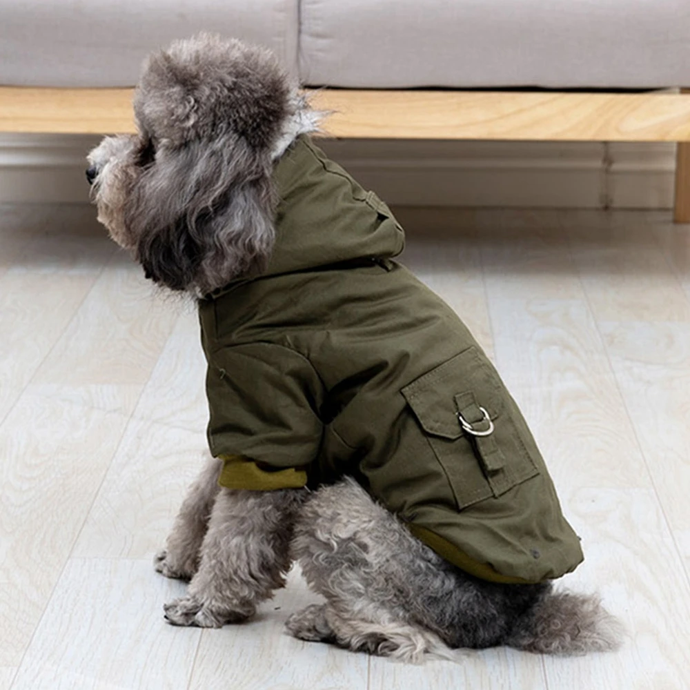 Cappotto Invernale Imbottito p - Winter Clothing Hiking recensione e prezzo